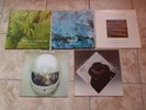 Edgar Froese Vinyl Epsilon Malaysian Pale Aqua Pinnacles Stuntman Solo 1974-1979