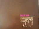GREASY BEAR IS ADRIAN THERE? FOLK ROCK LP RSD16 WAS £24.99, NOW ONLY £15.99