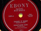 SUNNYLAND SLIM Shake It Baby / NATURE BOY JT BROWN Nature Blows It - Rare  Hear