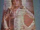 VINTAGE SUZI QUATRO  POSTER PACE 1974 SHRINK WRAPPED