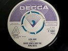 DAVIE JONES AND THE KING BEES 