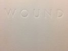 Wound Book by Mark McCoy Charles Bronson Spazz Three One G Powerviolence Locust