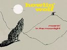 HOWLIN` WOLF-Moanin` In The Moonlight + 4 bonus tracks (180g)  VINYL NEW