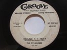 Sycamores - Darling Is It True?/ I'll Be Waiting - DOO WOP 45 *HEAR*