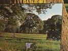 Daylight - Daylight, Original UK RCA Records Folk / Rock Lp