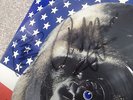 ? SKID ROW UNCUT PICTURE DISC SIGNED 1991 MONKEY BUSINESS nwobhm iron maiden