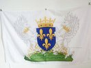 DRAPEAU BLASON ROYAUME DE FRANCE CHARLES VII 150x90cm - DRAPEAU ROYALISTE FRANÇA