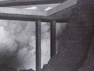 Frankie Rose-Herein Wild  VINYL NEW