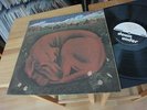 Ticket Let Sleeping Dogs Lie. Rare new zealand psych LP 1972 Mint