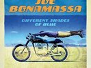 JOE BONAMASSA**DIFFERENT SHADES OF BLUE (WITH DOWNLOAD/GATEFOLD)**2 VINYL SET