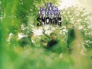 BLADES OF GRASS are not for smoking U.S. JUBILEE LP_orig 1968 harmony pop psych
