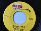 RARE GARAGE 45/ THE LOST SOULS 