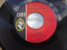 NORTHERN SOUL CANDY & THE KISSES 