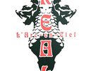 L'Arc-en-Ciel / Real   2LP JAPAN ONLY   RARE   KSJ2-6034 / NM