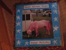 EAST RIVER PIPE - poor fricky LP Sarah Records