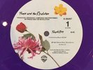 Prince - Purple Rain 12
