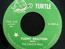 THE CALICO WALL Flight Reaction TURTLE Classic Minnesota Garage Psych LISTEN
