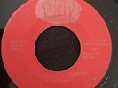 THE FREDRIC Five O'Clock Traffic FORTE Michigan Garage Psych LISTEN