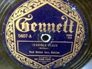 Gennett 78 #5607 Red Onion Jazz Babies   Terrible Blues / Santa Claus Blues