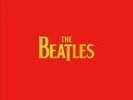 The Singles Box Set [Box] by The Beatles (Vinyl, Nov-2011, Apple (USA))