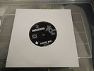 NZ'S LARRY'S REBELS 60s FUZZ GARAGE PSYCH Oz 45/ Painter Man