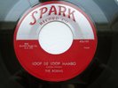 The ROBINS 45 Framed SPARK 107 ORIG NM- DOO WOP R&B 1954