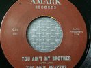 FUNK 45 :: The Soul Shakers w/ Milt Larkin: No Good Woman / You Aint My Brother