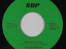 Sweet Soul/Funk 45 - The Scorpion - Keep On Trying - SBP - VG++ mp3 - rare