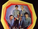 TRASHMEN, The - Surfin' Bird - Vinyl (7