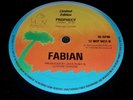 Fabian prophecy 12