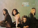 Free Fire And Water Island Vinyl LP