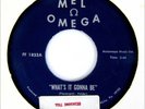 THE PETERSONS 45 What's It Gonna Be MEL OMEGA Rec A+ HEAR Toll Darkness NORTHERN