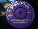 Bobby Patterson-What A Wonderful Night UK Pama 45 Rare Northern Soul R&B Mod