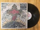 Trapped Under Ice PREORDER terror nyhc rival mob have heart twitching tongues