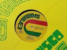 THE HEPTONES / Good Life - Can't Hide From Jah / Maxi GREENSLEEVES 13 (UK)