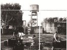 ROYAL HEADACHE - ROYAL HEADACHE NEW VINYL
