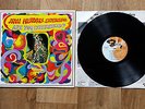RARE JIMI HENDRIX EXPERIENCE ARE YOU EXPERIENCED ? ORIGINAL FRANCE BIEM 0820143