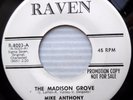 MIKE ANTHONY & MILLIONAIRES r&b promo 45 THE MADISON GROVE CROCODILE vg++ e0339
