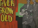 MAYTALS / NEVER GROW OLD / RARE / LP / VG++