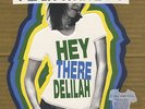 Plain White T's - Hey There Delilah - 7 inch single WHITE Vinyl - New & Unplayed
