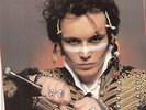 ADAM ANT OFFICIAL 1982 VINTAGE CALENDAR, NEW