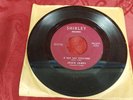 Jessie James - A Sad Sad Situation / My Future 45 Shirley SH-110 Northern Soul