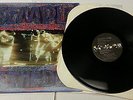 TEMPLE OF THE DOG original A&M Records black Vinyl LP (1991) 1st Ed. PROMO RARE