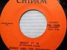 SONNY & PREMIERS soul funk 45 WHAT IT IS YOU SEND ME on CHIPAM label E7725