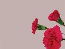 John Legend - Love In The Future Vinyl 2LP NEU 09535306