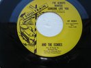 Rare Northern Soul  And the Echoes I've always wanted someone like you Soultrain