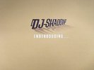 DJ SHADOW - Endtroducing: 20th Anniversary Endtrospective Edition - Vinyl (6xLP)