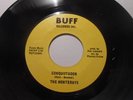 The Monterays, Conquistador, If Wishes Were Horses Private Press Garage Rock 45