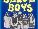 Beach Boys Flame Original Concert Handbill Flyer Palace Theatre Manchester 1970