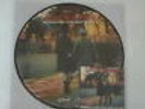 ADRIANO CELENTANO IL RAGAZZO DELLA VIA GLUCK VINILE LP PICTURE DISC NUOVO